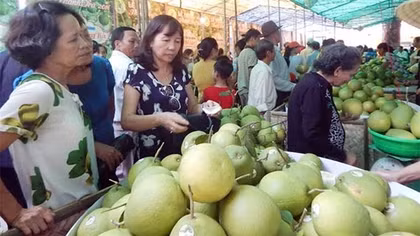 Phát triển thương hiệu đặc sản thanh trà Huế