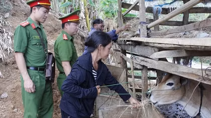 Kỳ cuối: Không đâu bằng quê hương