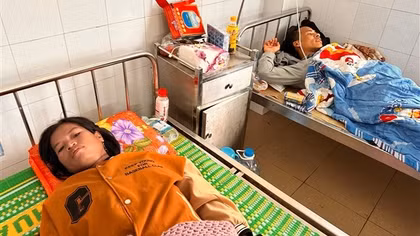4 người thương vong nghi do uống nước rễ cây rừng