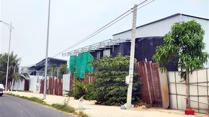 TP Cần Thơ: Nhiều công trình trái phép “mọc” trên đất lúa ven tuyến Quốc lộ 91B