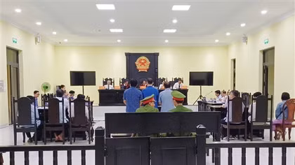 Hai cha con lĩnh án tù vì lừa đảo chiếm đoạt tài sản