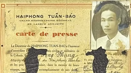 Xấu dây mẩy củ