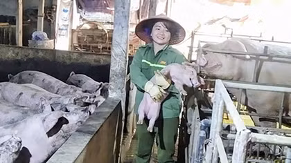 Nguồn vốn chính sách tạo sức bật cho nông dân Anh Sơn