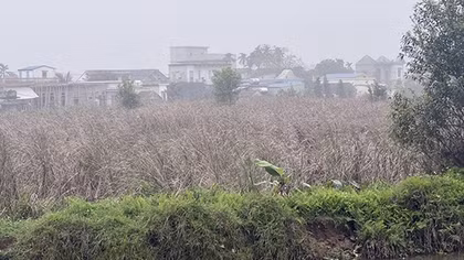 Bài 1: Không ly hương vẫn ly nông