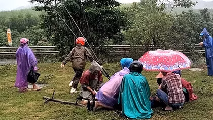 Thấy khỉ leo cột điện, người đàn ông ra đuổi, không may bị điện giật tử vong
