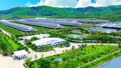 Người dân hưởng lợi gì khi doanh nghiệp làm “NET ZERO”?