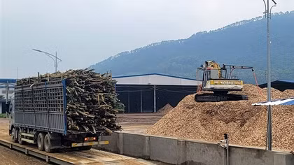 Bất nhất trong xử lý các cơ sở băm dăm trái phép tại Hà Tĩnh