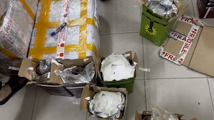Giấu 97,5kg ma túy tổng hợp trong các bịch rượu vang theo dịch vụ chuyển phát nhanh