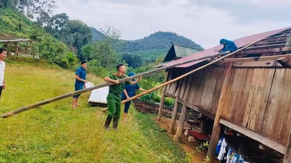 Công an Nghệ An gặt lúa, lợp nhà giúp dân chống bão