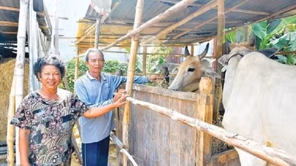 Hậu Giang lan tỏa tín dụng chính sách