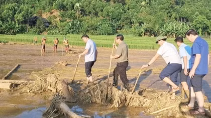 Thủ tướng yêu cầu triển khai các biện pháp nhanh chóng phục hồi sản xuất nông nghiệp