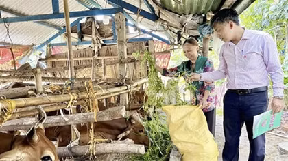 Mở hướng thoát nghèo ở Quảng Ngãi