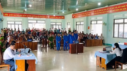 Xét xử vụ án hủy hoại rừng mà Báo CAND phản ánh