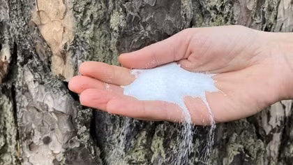 Pin natri-Ion thay đổi cuộc chơi năng lượng tái tạo