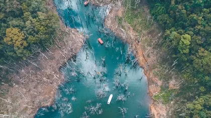 Đề nghị xử lý loạt cán bộ vụ Thủy điện Thượng Kon Tum tích nước làm chết rừng