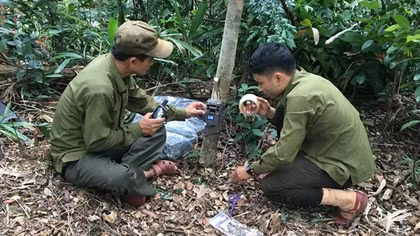 Đặt bẫy ảnh tìm Sao la ở rừng bảo tồn Bắc Hướng Hóa