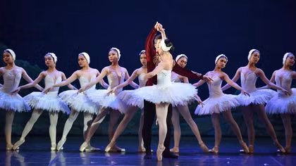 Đưa ballet Hồ Thiên Nga trở lại Việt Nam
