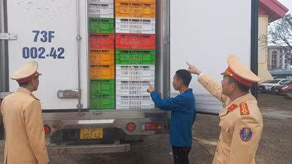 Phát hiện 4 tấn thịt gà đông lạnh không rõ nguồn gốc