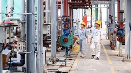 Cơ hội vững vàng cho lao động có tay nghề chuyên môn cao