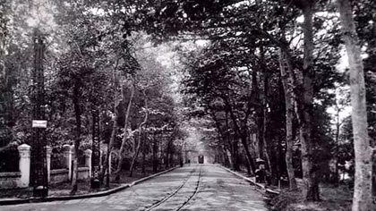 Mộng hồ sương thơm hương phố