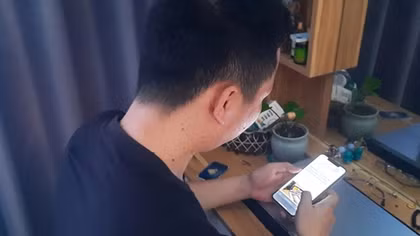 Cáo đội lốt hùm