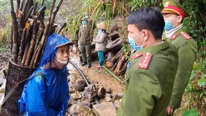 15 người dân bị mắc kẹt trong rừng trở về nhà an toàn sau bão số 6