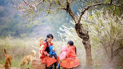 Cùng đón “Sắc xuân trên mọi miền Tổ quốc”