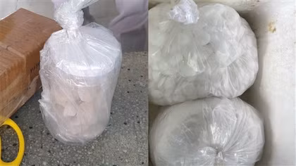 TP Hồ Chí Minh: Thu giữ hơn 9,4 tấn xyanua và nhiều hóa chất độc hại