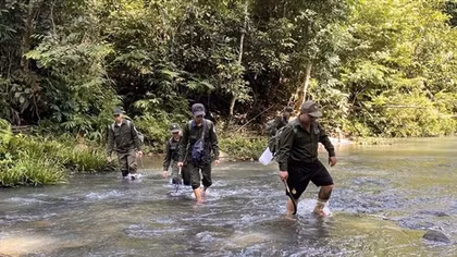 Tăng cường quản lý, bảo vệ rừng trong mùa mưa lũ