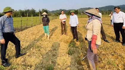 Hồi sinh màu xanh trên đất “chết”