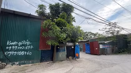 Phức tạp vi phạm pháp luật về đê điều: Phải quyết liệt xử lý