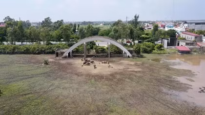 Xử lý hàng loạt dự án có dấu hiệu vi phạm luật đất đai tại Hải Phòng
