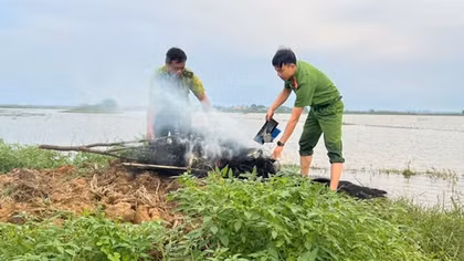 Khó xử lý triệt để nạn tận diệt chim trời tại nơi có vùng đầm phá lớn nhất Đông Nam Á, vì sao?