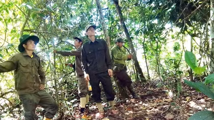 Quảng Nam: Tín hiệu khởi sắc trong việc thực hiện chi trả dịch vụ môi trường rừng tại các cộng đồng dân cư