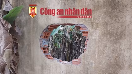 Phó Thủ tướng Trần Lưu Quang chỉ đạo xử lý vụ học viên cai nghiện bỏ trốn ở Sóc Trăng