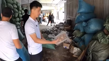 Coi chừng “tiền mất tật mang” vì mua nhầm thuốc giả trên mạng