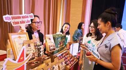 Doanh nghiệp Việt phải làm gì trước quy định chống phá rừng của EU?