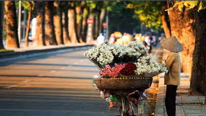 Miền Bắc chiều tối mưa rào và dông, Nam Bộ mưa to