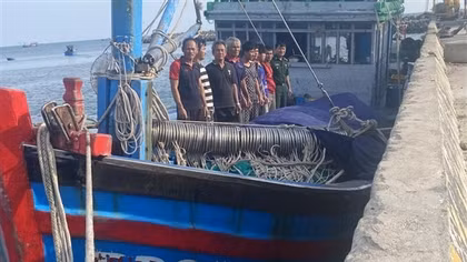 Truy tìm tàu vận tải biển tông chìm tàu cá ở phía Nam tỉnh Ninh Thuận