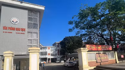 Làm rõ trường hợp không biết chữ vẫn được cấp bằng lái ôtô hạng B2