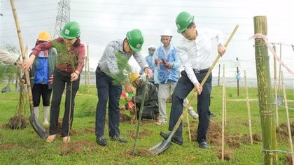 Trồng cây xanh là giải pháp quan trọng trong chuyển dịch năng lượng