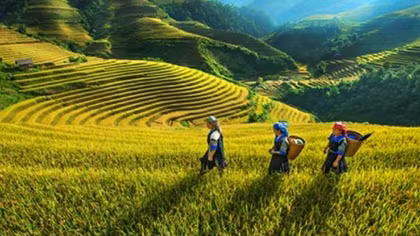 Miền Bắc nắng rát người, Trung Bộ như "đổ lửa"