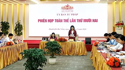 Phiên họp thẩm tra dự án Luật Phòng, chống mua bán người (sửa đổi)
