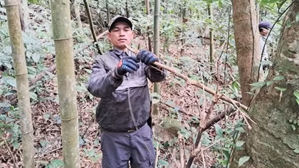 Tháo bẫy động vật hoang dã giữa rừng đại ngàn Trường Sơn