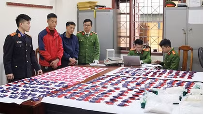 Từ Kỳ Sơn, xuyên đêm mang cả yến ma tuý ra “thăm” Thủ đô