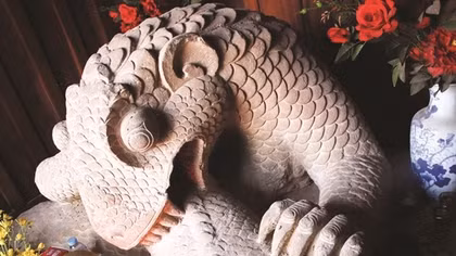 Rồng luận