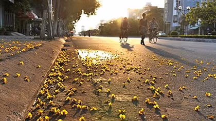 Hà Nội sáng lác đác mưa, trưa chiều hửng nắng