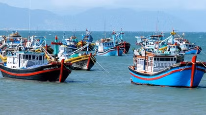 Nhiều nỗ lực trong gỡ “thẻ vàng” cho thủy sản Việt Nam