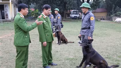 “Binh chủng đặc biệt” - 65 năm xây dựng, chiến đấu và trưởng thành