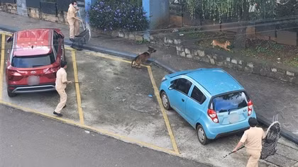 Nhậu xỉn, người đàn ông ôm chó nhà, bị cắn tử vong sau 1 tháng